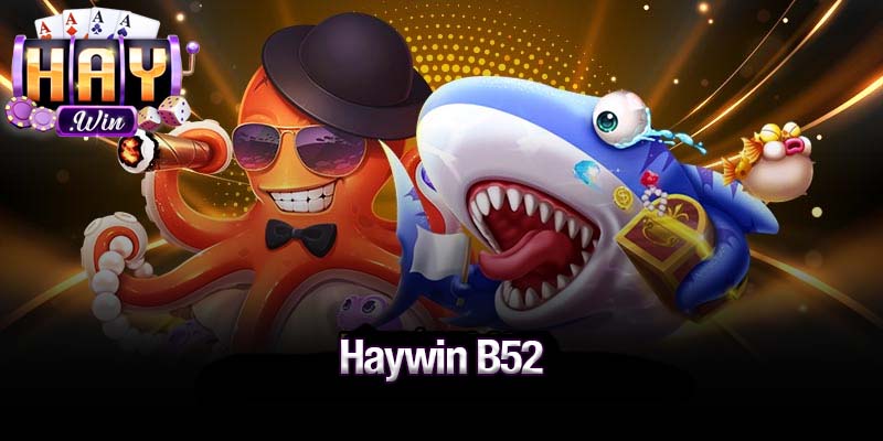 Haywin B52