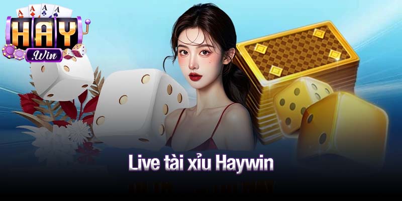 Live tài xỉu Haywin