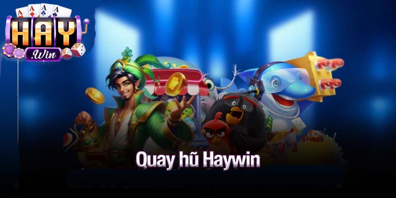 Quay hũ Haywin